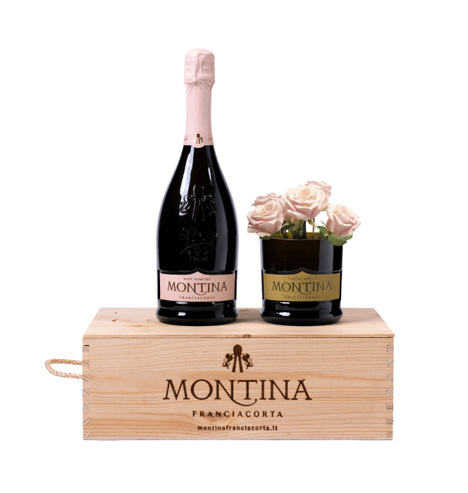 Montina confezione Kura