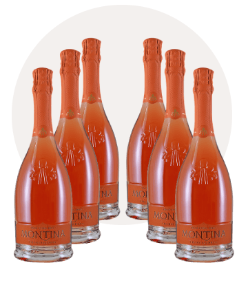 Rose exra brut DOCG 6 bottiglie